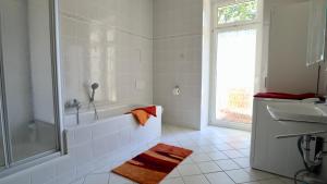 Appartement Chemnitz-Kaßberg