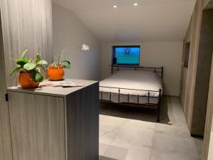 Landelijk vakantiehuis in Diksmuide met een tuin en vijver