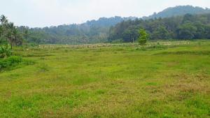 Nagesh paikera biligeri