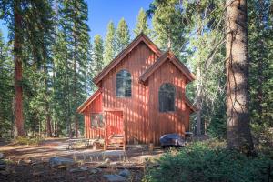 Cabin on the Edge of Forever