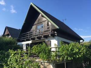 Family House with Pool in Kamenny Privoz, 30 km from Prague, in beautiful nature