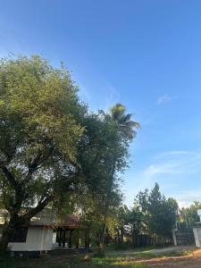 Kochuthottathil Heritage