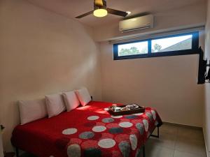 Central Studio with Roof Top Romantic Zone 202