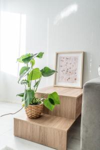 Downtown Rovaniemi, Perfect Location