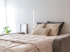 Downtown Rovaniemi, Perfect Location