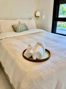 Cozy studio in Pinheiros