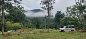 Haven heights
