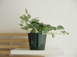 Residenza Il Conte - pochi passi dalla metropolitana