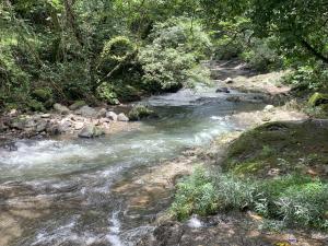 Los Laureles El Valle de Anton