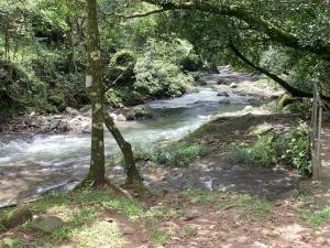 Los Laureles El Valle de Anton