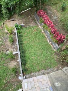 Los Laureles El Valle de Anton