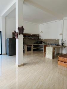 The Coconut tree villa