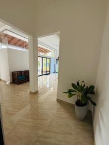 The Coconut tree villa