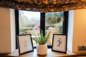 Ashdown Forest Retreat