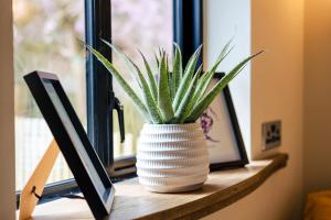 Ashdown Forest Retreat