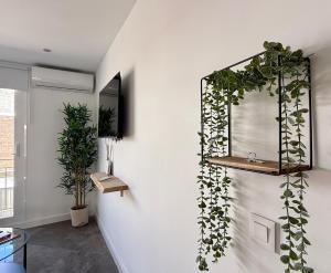 Cruz Conde Suite Deluxe