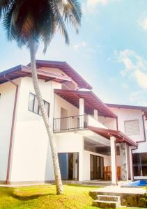 The Coconut tree villa