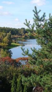 Dom letniskowy do wynajęcia z własną Przystanią nad rzeką Narew - linia brzegowa