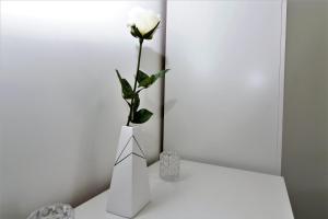 Light-Filled 2-Bedroom Attic Flat with Air Conditioning