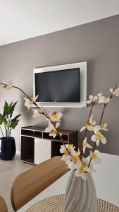 Garage y Gimnasio Depto Ideal Villa Dolores