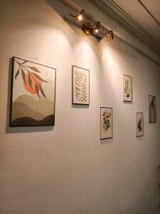 Rainbow HomeStay - No 8 Alley 18B Tong Dan