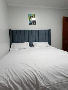 Qara Homes One Bedroom, Juja