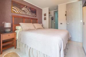 HOM I Wifi SmartTv SantaLucia Gyn CoWork Piscina