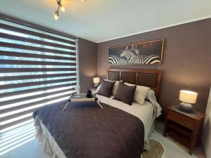 HOM I Wifi SmartTv SantaLucia Gyn CoWork Piscina