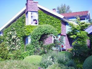 Holiday Apartment Northern Lights - 4-star hotels in Oldenburg