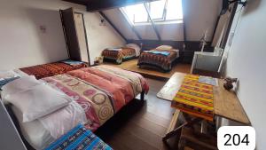 Distrito Hostal Y Gatro bar