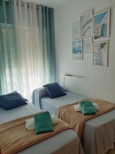 TORREVIEJA apartamento