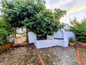 El Corral de la Higuera