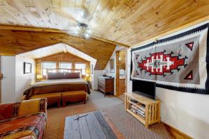 The Dragonfly Studio