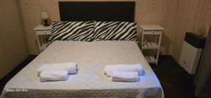 Casa Camelia san nicolas