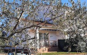Amazing Apartment In Vabriga With Wifi 