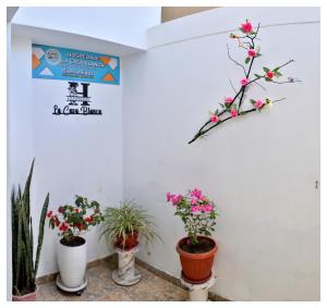 Hospedaje La Casa Blanca