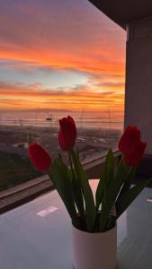 Departamento vista al mar