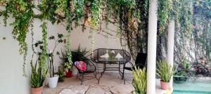 Bed and Breakfast Pecarí