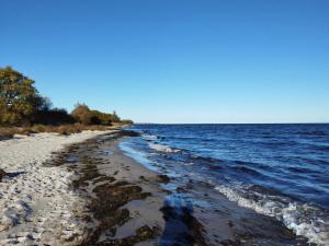8 person holiday home in Nykøbing F-By Traum