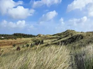 4 star holiday home in Ålbæk