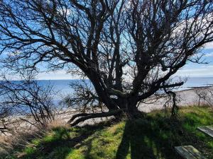 8 person holiday home in Nykøbing F-By Traum