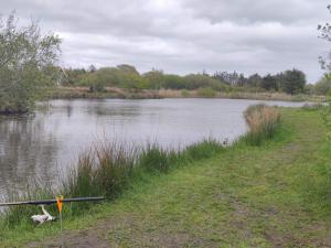 5 person holiday home in Skjern-By Traum