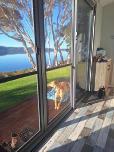 Waterview at Lettes Bay