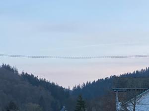 FeWo Skywalk Willingen