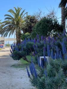 Departmento cerca de casino