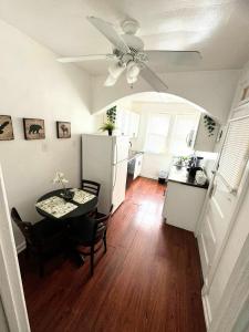 (53.1S) Forest Park, The Zoo, and much more