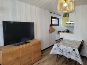 Studio cosy 45 pers, pied des pistes, balcon exposé ouest - FR-1-458-253