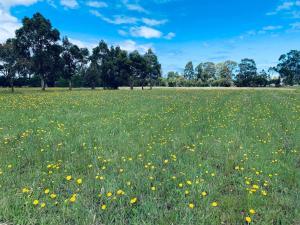 Luxury 1-Bedroom Retreat on 10 Acres, near beaches