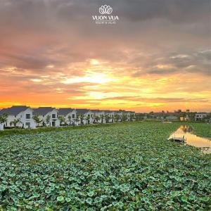 Biệt thự Đế Liên nguyên căn 2 tầng- Vườn Vua Resort Phú Thọ