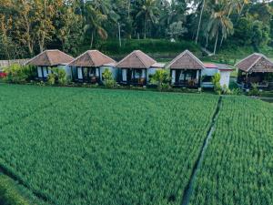 Eco Oasis Wooden Villa Ubud